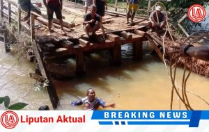 Jembatan di Desa Muara Gerunggang putus total, Butuh Perhatian Pemerintah Daerah