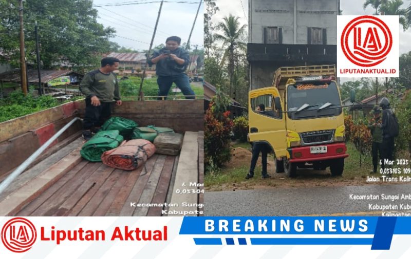 Polhut Kubu Raya Amankan Truk Bermuatan Kayu Ulin dari Perambahan hutan secara Ilegal.