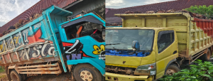 Tertangkap Tangan Lakukan Pencurian Massal Buah Sawit, Dua Orang Warga Marau Di Amankan Polres Ketapang