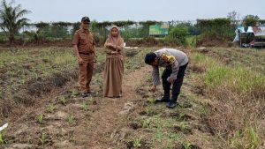 Personil Polsek Benua Kayong Polres Ketapang Laksanakan Pengecekan dan Pendampingan Kelompok Tani Sepadu 2