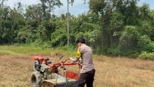 Dukung Ketahanan Pangan, Polsek Simpang  Dua Laksanakan Penggemburan Tanah dan Pemberian Pupuk Kandang.