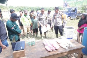 Meningkatkan Hasil Jagung dengan Pupuk Migo Organik