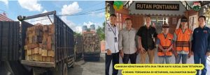 2 Orang ditangkap dan Menjadi Tersangka Karena Kayu Ilegal di Ketapang