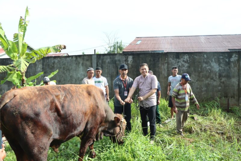 Momen Idul Adha, Kapolres Ketapang Laksanakan Penyembelihan Hewan Qurban Di Mapolres Ketapang