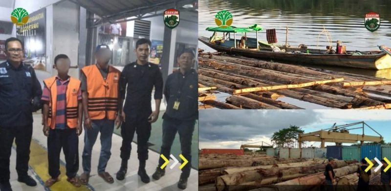 Hentikan Pengangkutan Kayu Ilegal, 76 Batang Kayu Bulat Disita di Ketapang