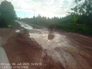 Jalan Pelang-Kepuluk rusak parah, desak audit penggunaan anggaran