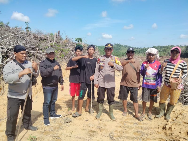 Kapolsek Simpang Dua Tanam Jagung Hibrida di Lahan Kelompok Tani Dua Makmur