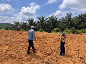 Kapolsek Sungai Laur dan GM PT. MBK Tinjau Lahan Persiapan Tanam Ulang Jagung Hibrida di Desa Sukaramai