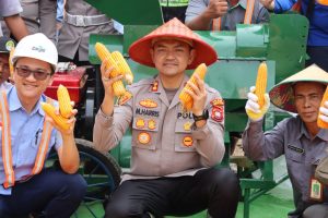 Wujud Implementasi Program Asta Cita Bidang Ketahanan Pangan, Kapolres Ketapang Pimpin Panen Jagung di Kecamatan Kendawangan