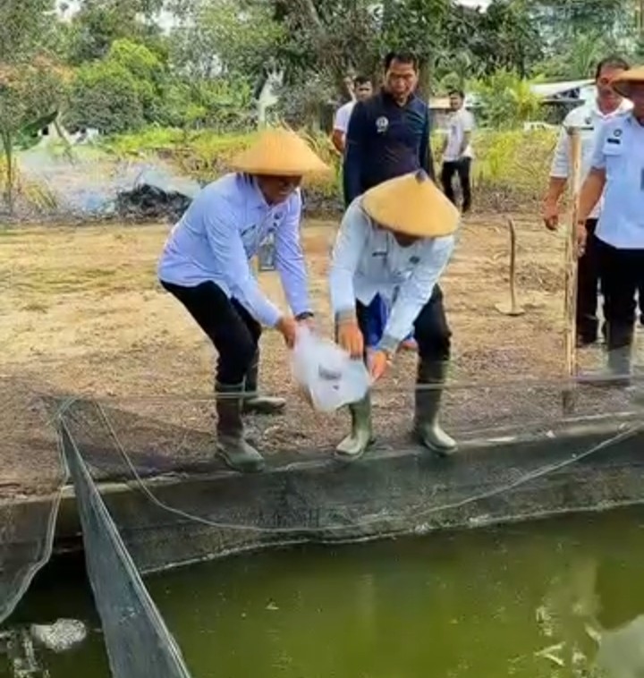 Kepala Kanwil Ditjenpas Kalbar Tebar Benih Ikan Lele di SAE Lapas Ketapang: Mendukung Pembinaan Kemandirian Warga Binaan