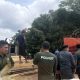 Kemenhut Ungkap Modus Pemalsuan Dokumen Kayu di Balikpapan, 1.205 Batang Kayu Disita.