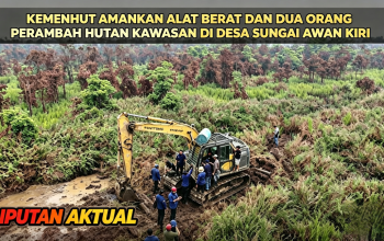 Kemenhut Amankan Alat Berat Dan Dua Orang Perambah Hutan Di Sungai Awan Kiri